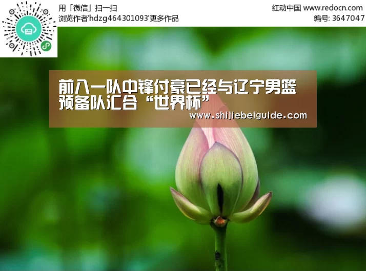 比赛集锦