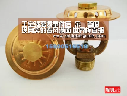 王宝强离婚事件后 宋喆首度现身笑的春风满面|世界杯直播(图1) 比赛集锦
