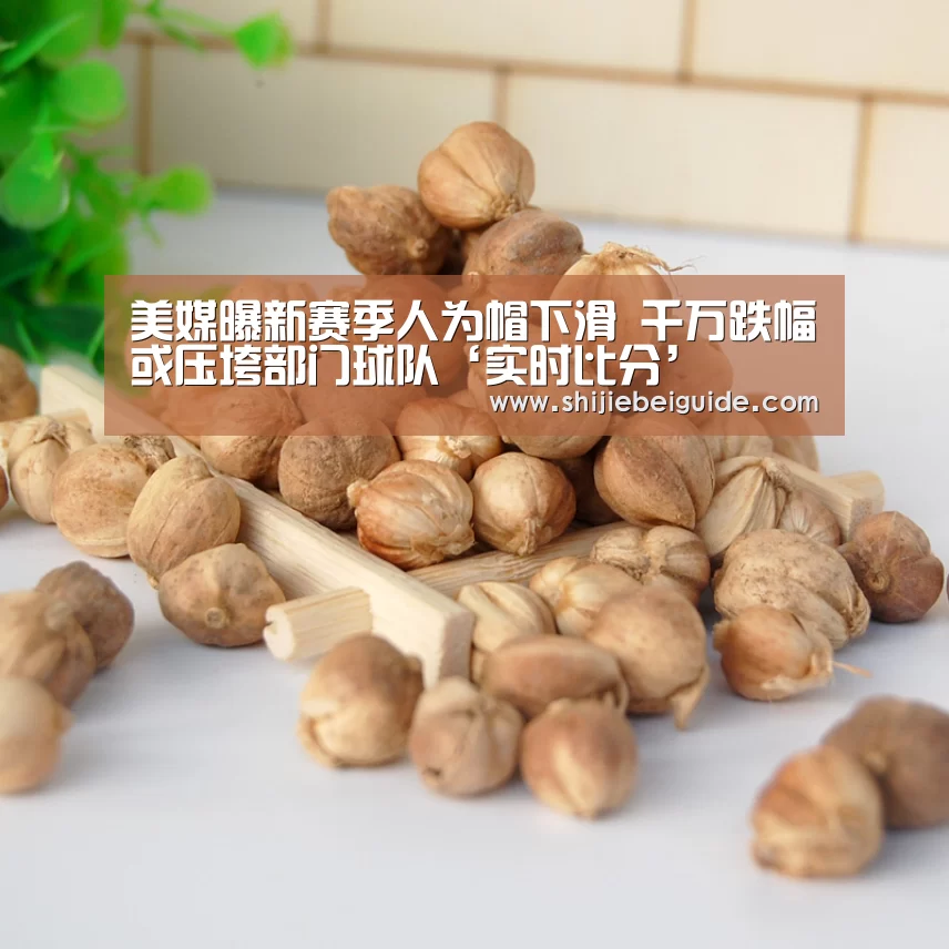 世界杯直播