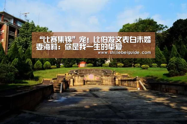 实时比分
