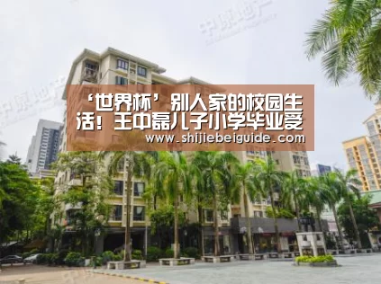 实时比分
