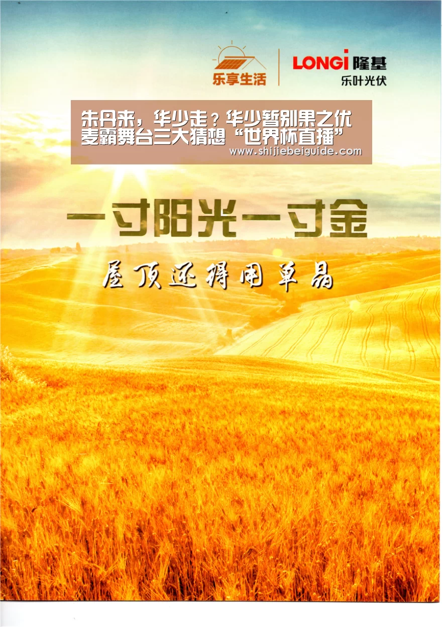 实时比分